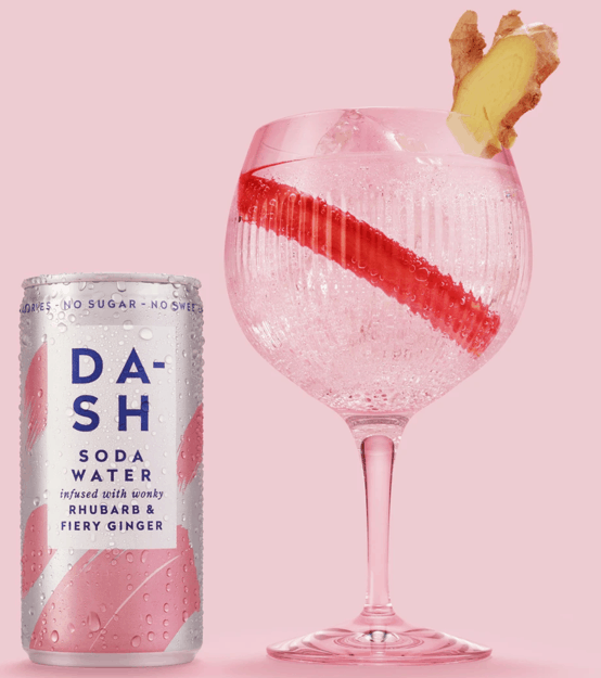 Dash Water Review: Sparkling Water with Wonky Fruit - Tiny Little Changes