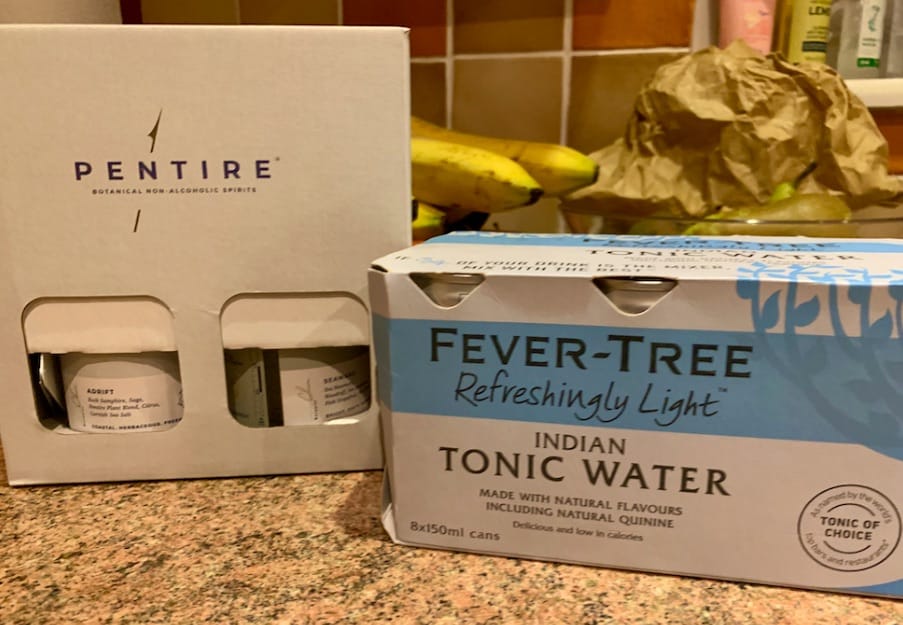 Pentire Drinks with Tonic