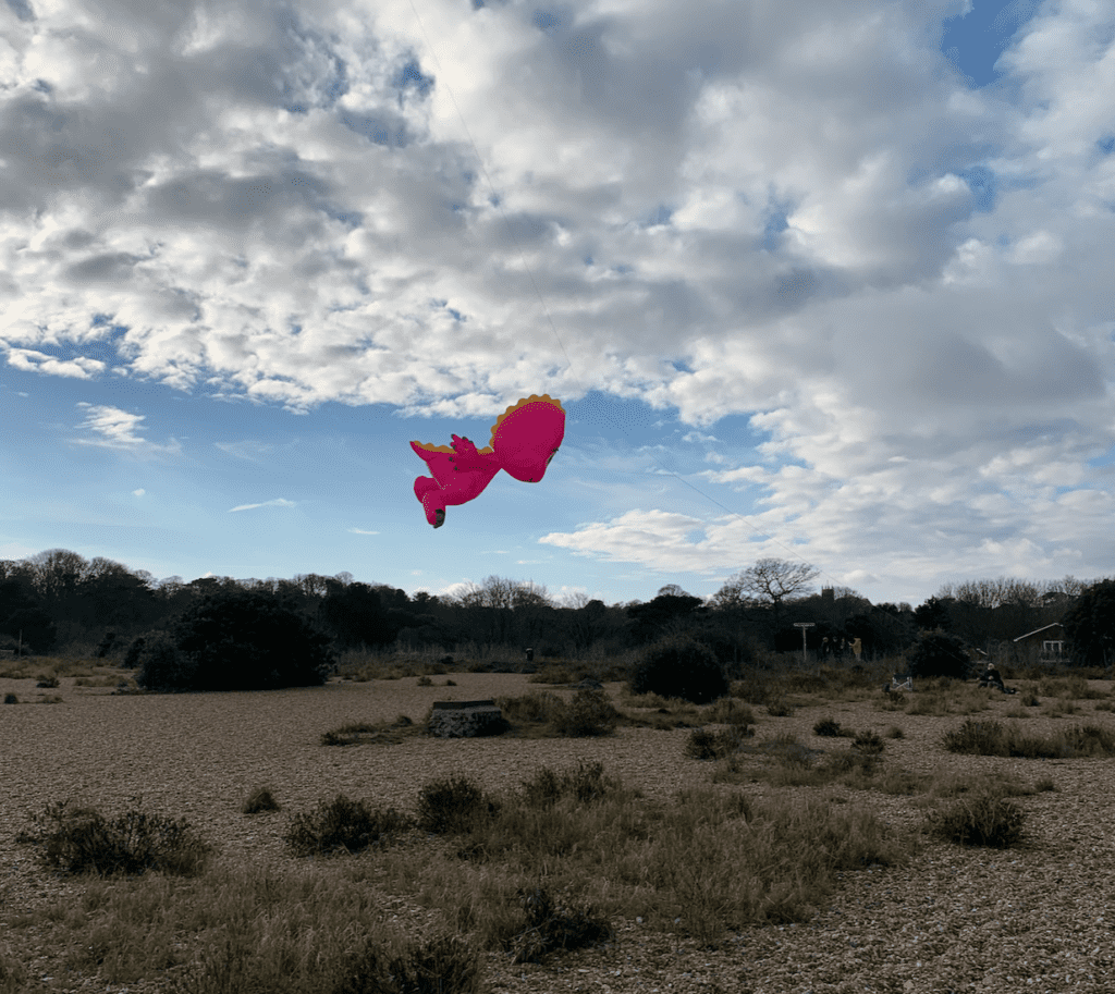 Random kite spotted while out walking